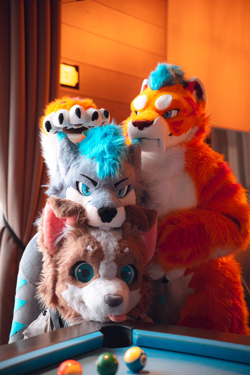 Ca Woof ➡️ UTFG tweet media