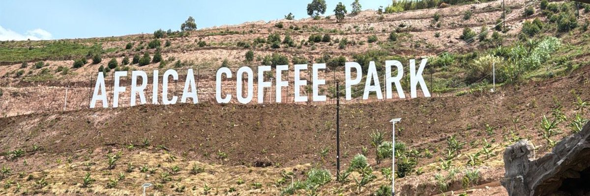 louismwanja's tweet photo. My Brain 🧠 has a weird way of creating patterns and that scares me alot.

@AfricaCoffePark #Uganda #coffeecity @TugumeNelsonO @nbstv https://t.co/h8dZkb89I9