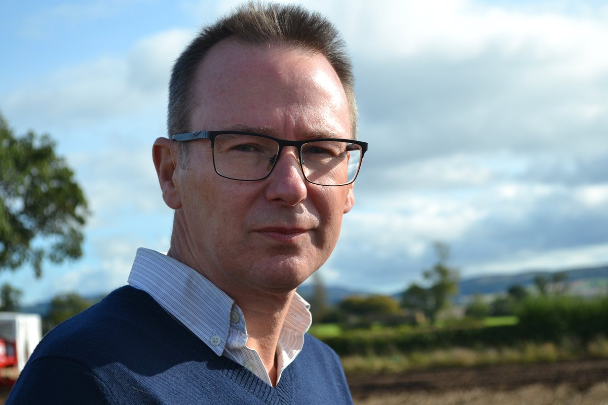 GB Potatoes tweet media