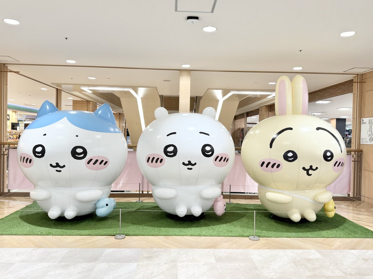 めめ°@アイコン迷子 (@MeMe__3355) / Posts / X