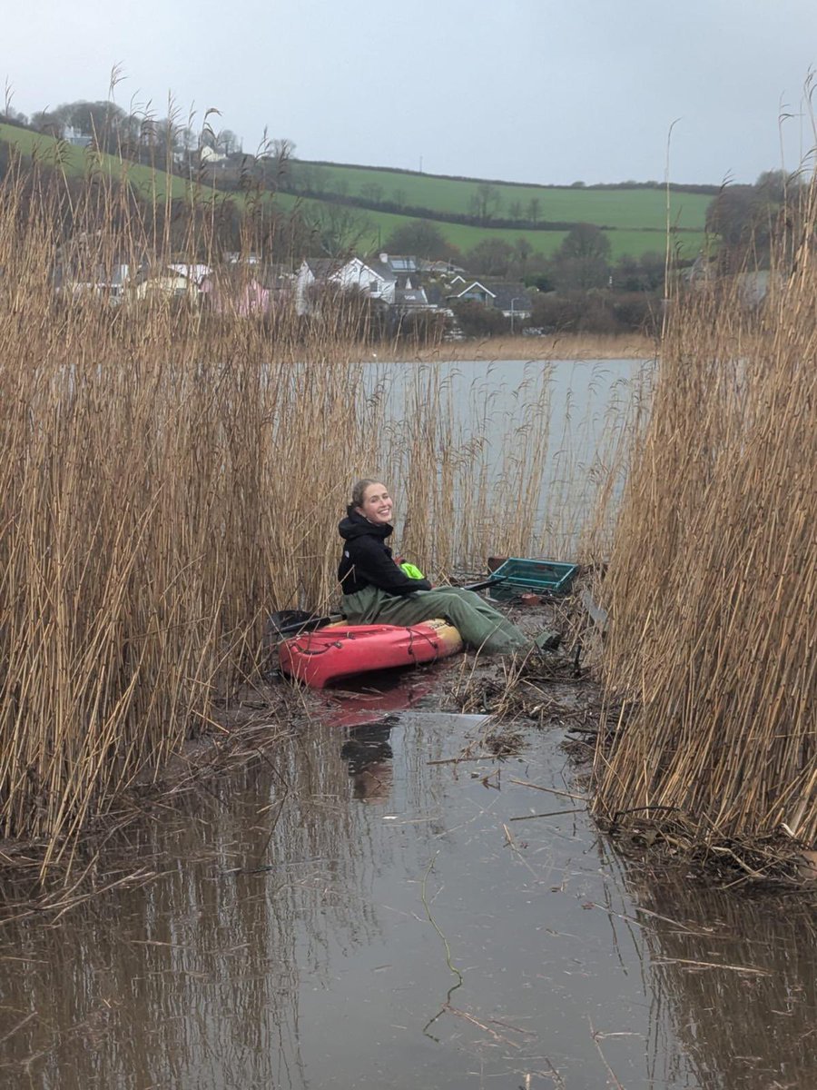 StartBayInn's tweet image. After the #storms💨🌊⁣
⁣
Our beautiful Daisy got her waterproof kit on &amp;amp; put the #kayak on the #Ley to clear debris 🛶🥰⁣
⁣
Doing her bit for #Torcross end, so the wonderful #wildlife aren’t affected 🦢🦆🦦⁣
⁣
#StormCleanUp #SlaptonLey #NatureReserve