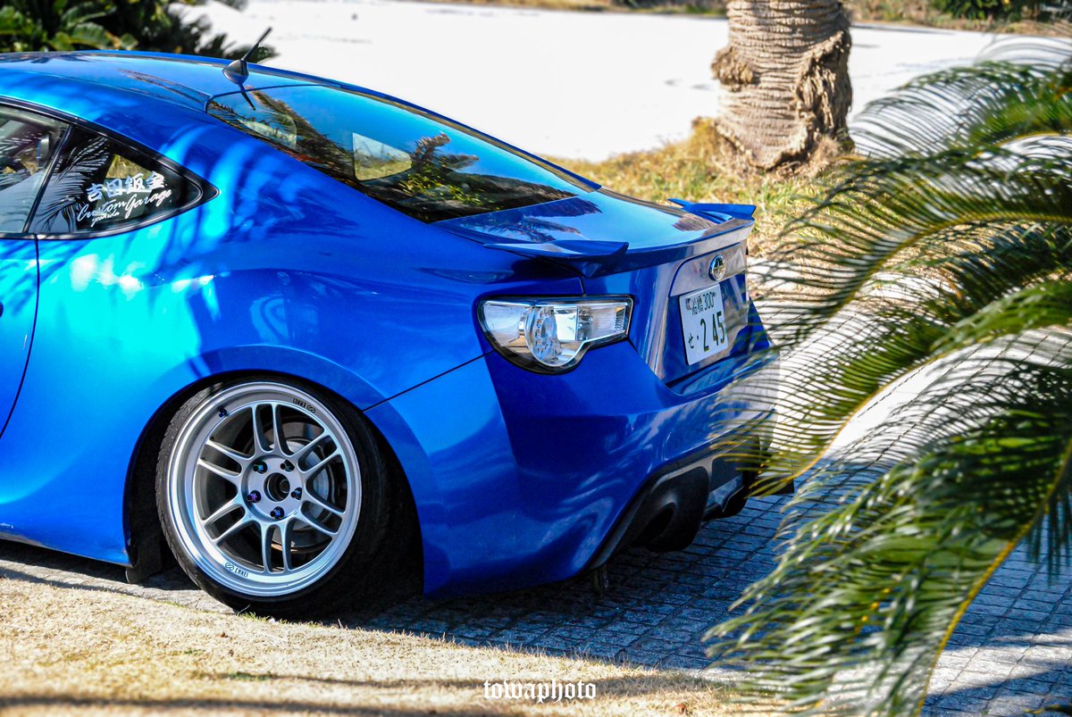 brz4096's tweet photo. 🌴🌴🌴 https://t.co/zNLEFyu3LS