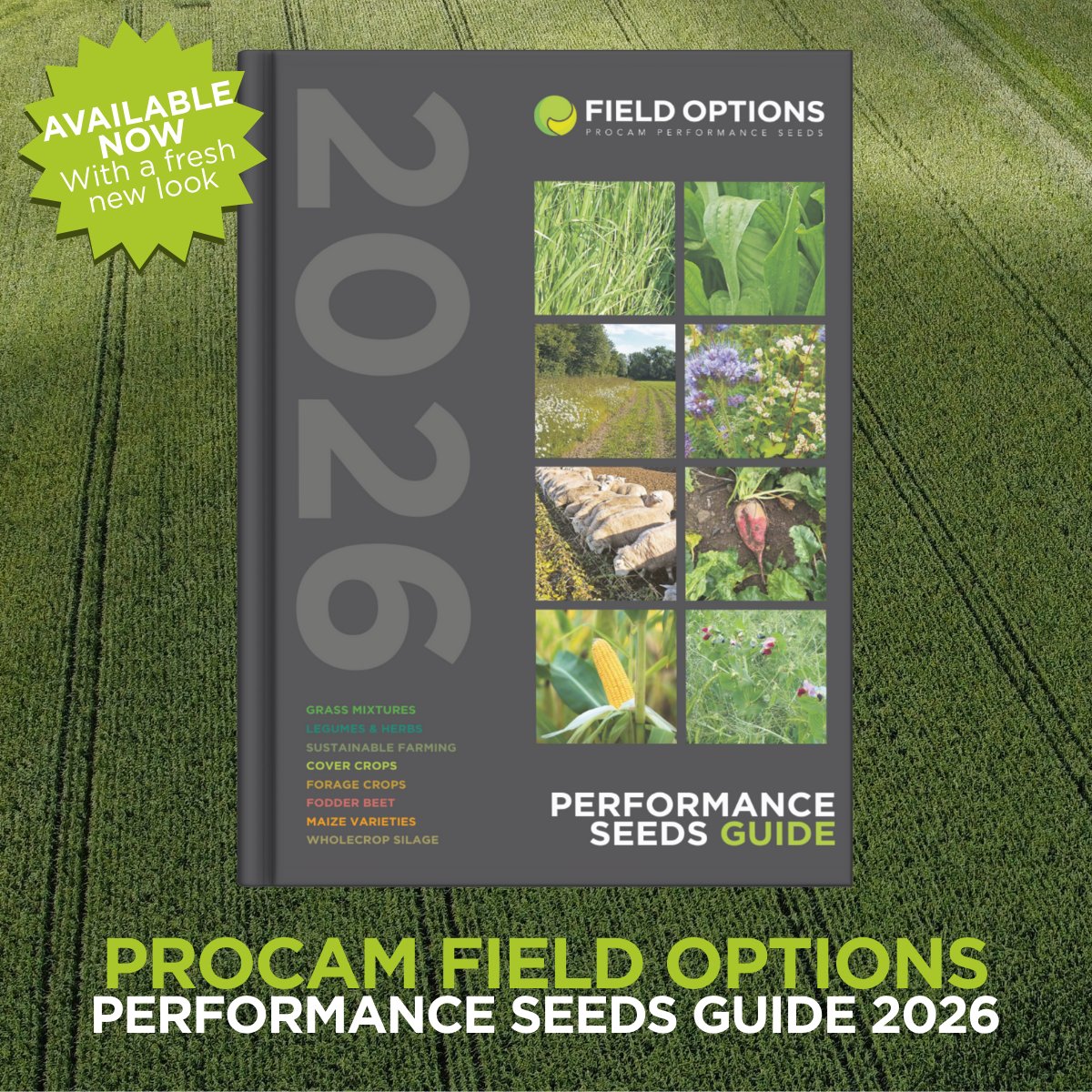ProCam Field Options Performance Seeds Guide 2026 – out now 🌱
Our new guide is now available, featuring a fresh new look and clear, practical guidance to help you find the right seed mixtures for your farm.

Organised by crop type and built around practical decision-making, the