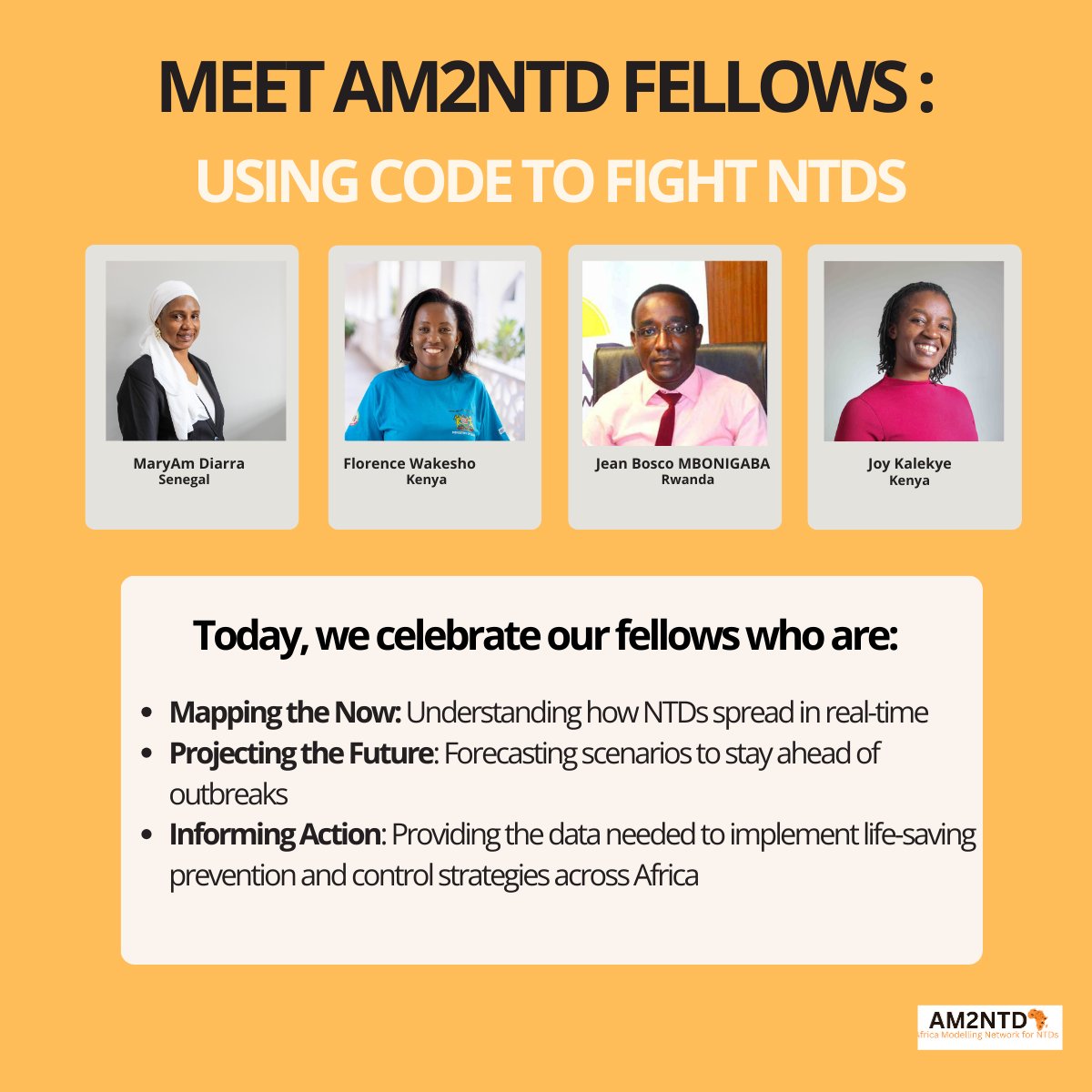 Africa Modelling Network for NTDs tweet media