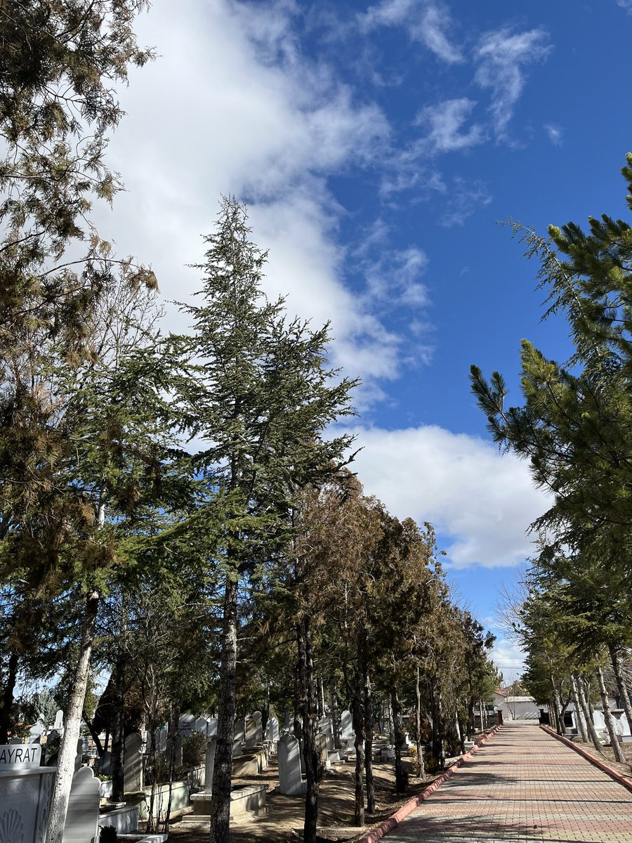 yarının ölüleriyiz,
çokta abartmaya gerek yok..