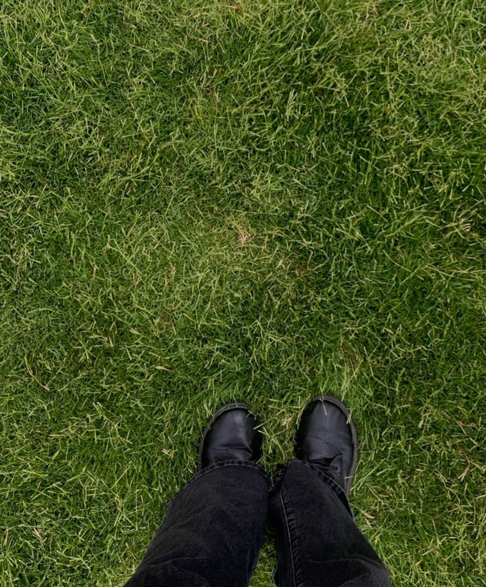 ˚ִִ ˖ tot🫐˚ִִ ˖ tweet media