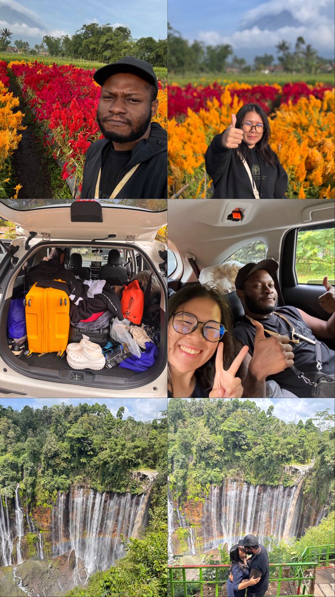 Engineer of Chaos tweet media