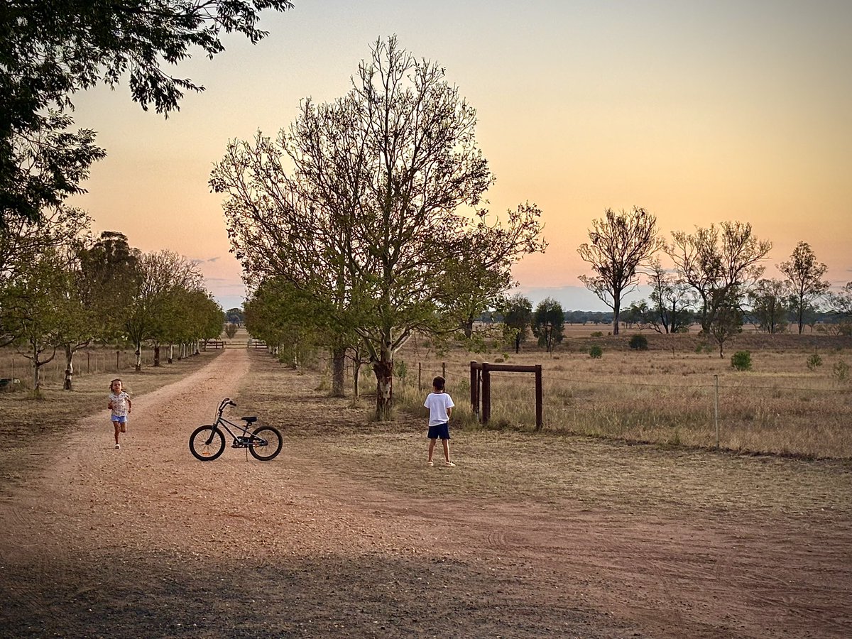 Kiaarn Dickens tweet media