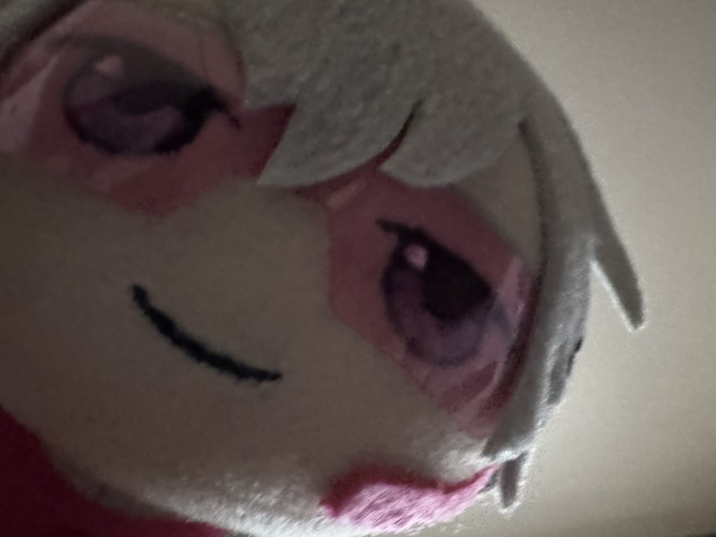 わが家のぱち。 tweet media