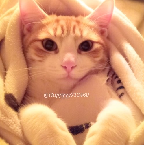 Happy.happy. (@Happyyy712460) / Posts / X