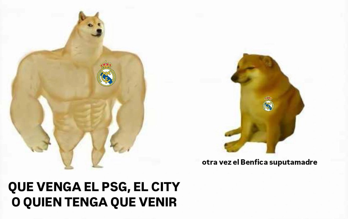 2016                           //                  2026