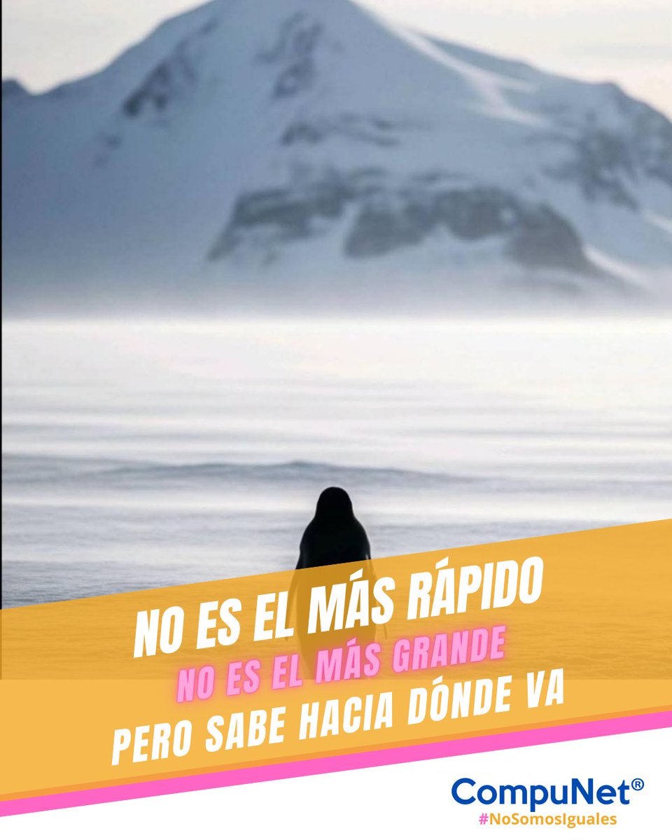 CompunetChile's tweet photo. A veces avanzar no es correr.
Es seguir caminando, incluso cuando el camino parece frío, largo y solitario.

En ciberseguridad, la resiliencia no se improvisa.
Se construye paso a paso.

#CiberResiliencia #Ciberseguridad #CompuNet https://t.co/7KKiIaoe3A