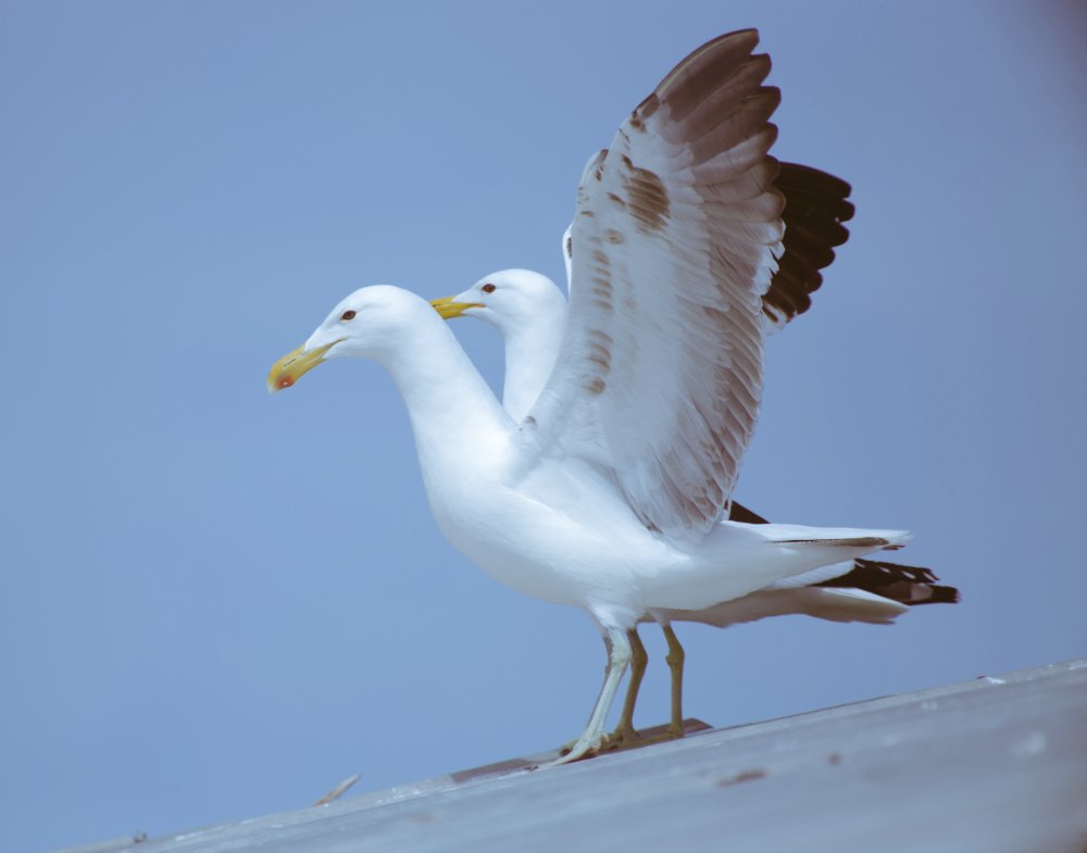 Photography Tricks and Tips tweet media