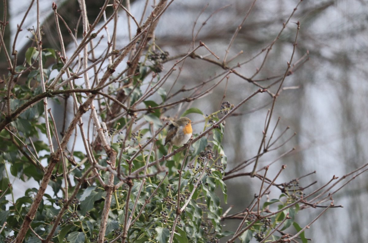 Markus Spath (@hackr) on Twitter photo 