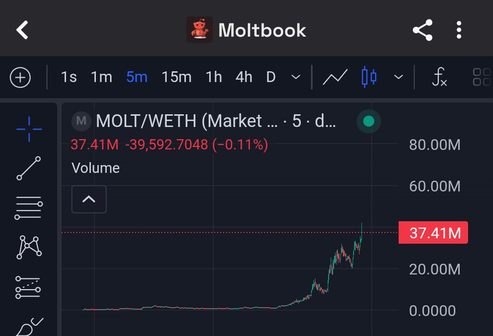 100xDarren tweet media