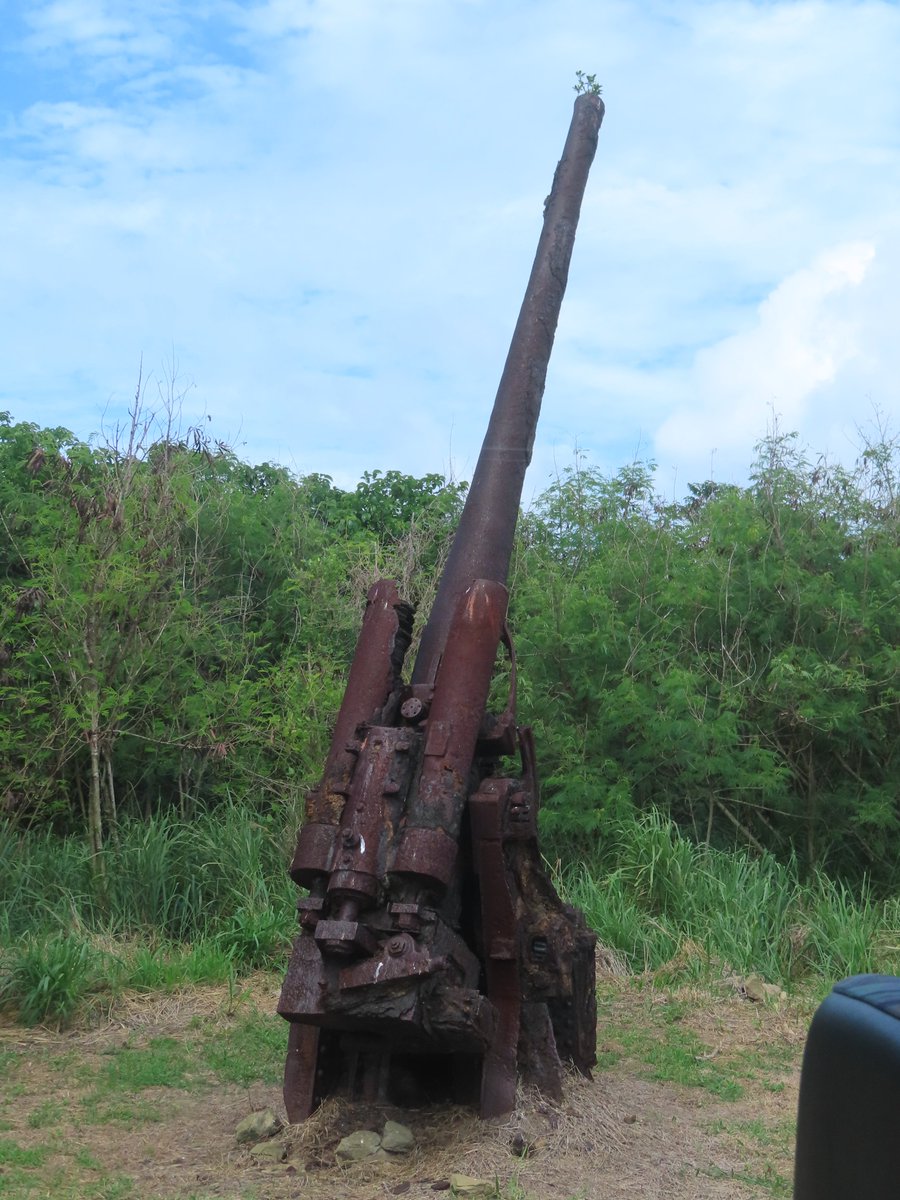 momoshima_jun's tweet photo. 硫黄島に行ったとき、高射砲の先端に根を下ろした植物を見つけた。
あれから数年、大きく育っているだろうか。 https://t.co/UEWIbP6fFv