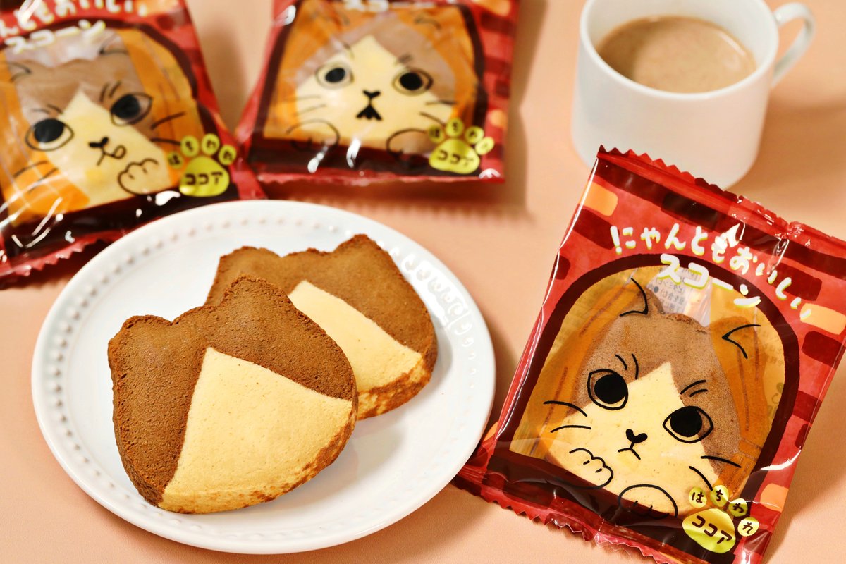 明日2/2(月)より新登場🆕✨ 🤎にゃんともおいしいスコーン はちわれ