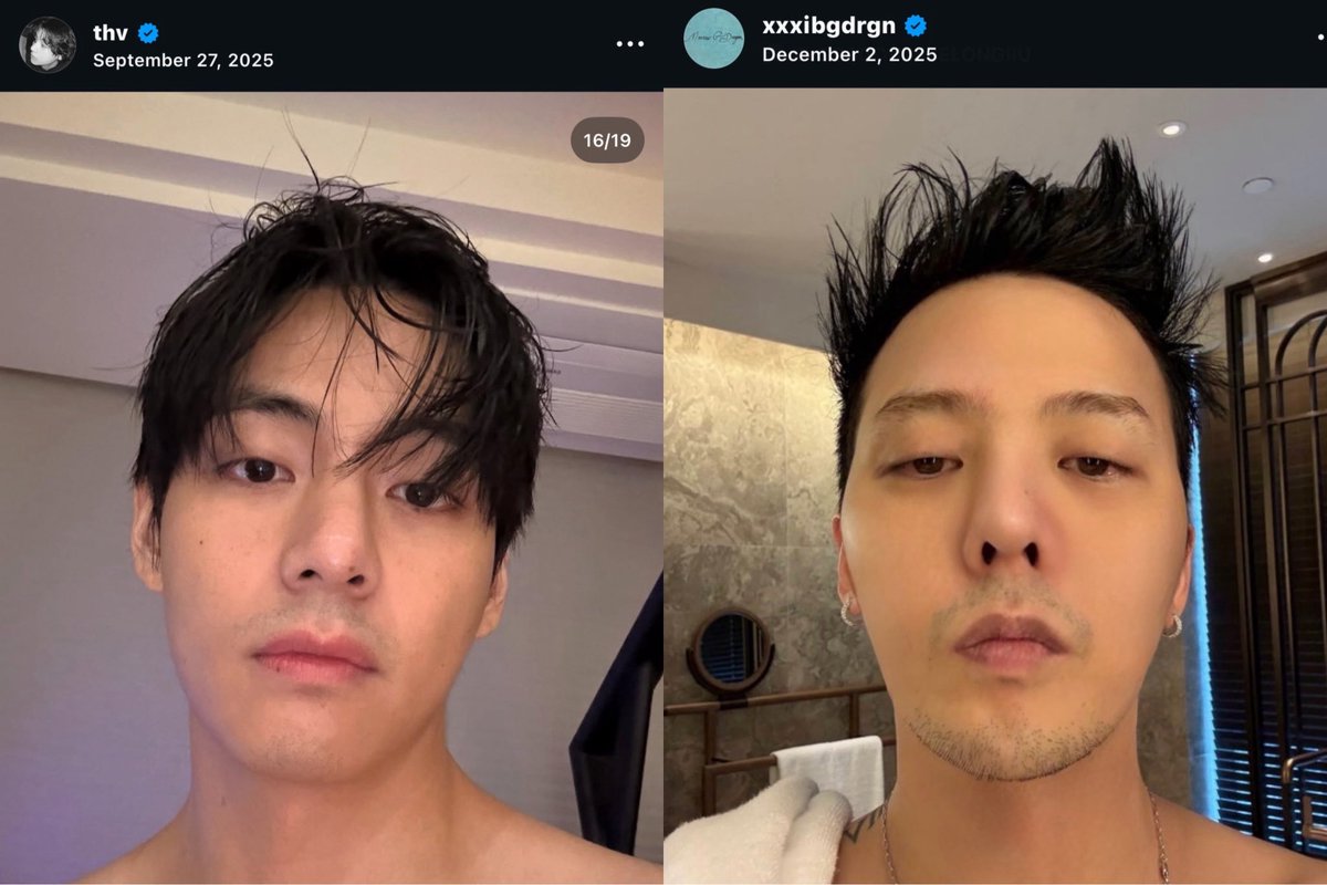 mogged                           chopped