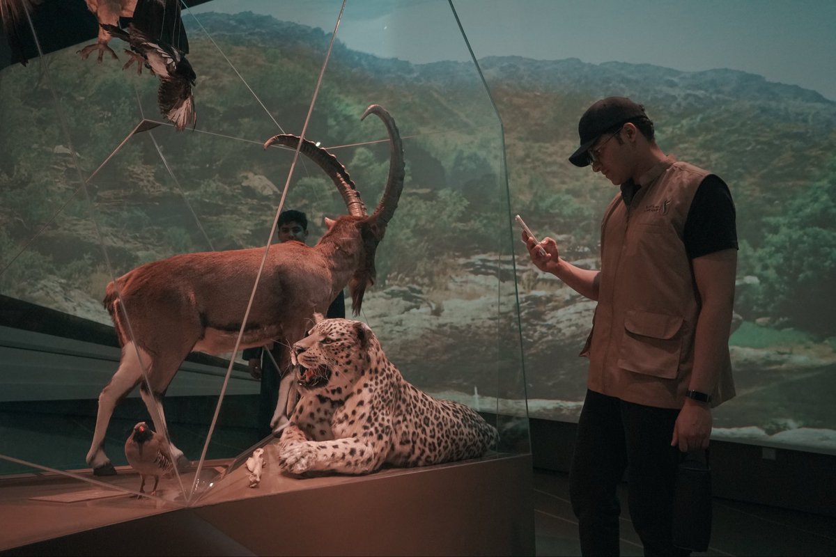 جمعية التنمية الأهلية بالمذنب tweet media