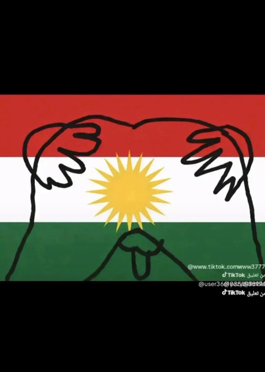 طغرل ✊ الناصبي tweet media