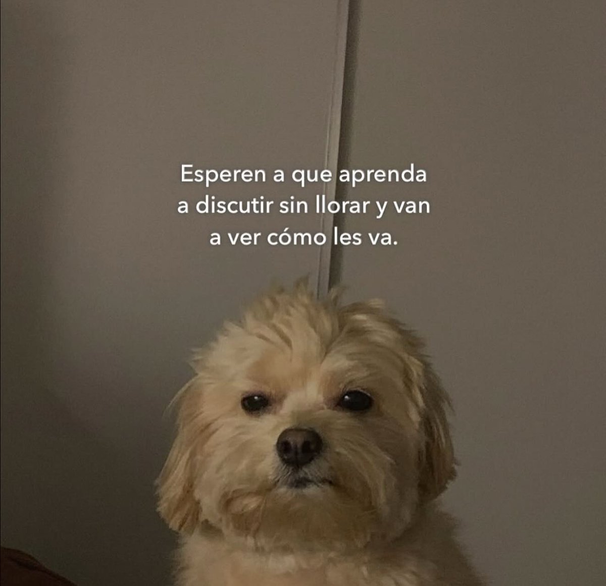 escritosvibra's tweet image. 