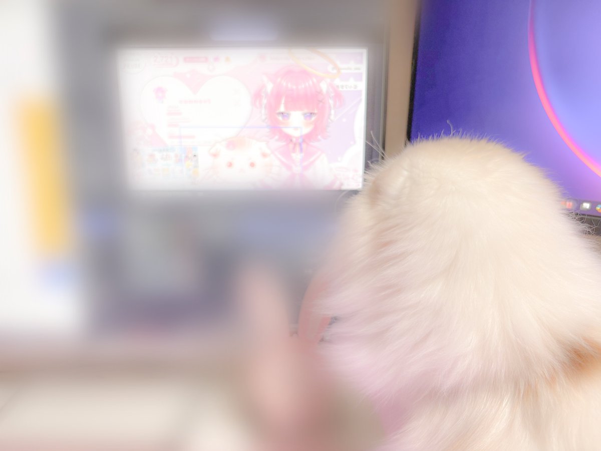 桃猫あむ📛💘 (@momoneko_amu) / Posts / X