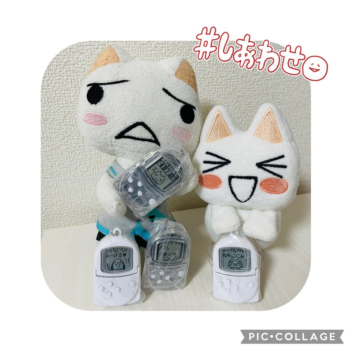 どこでもいっしょ