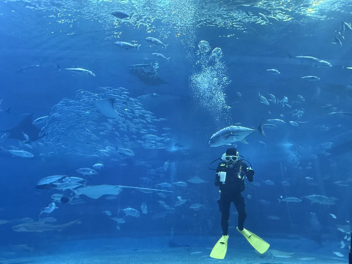 schengsm's tweet image. LINGORM PRESENTER CATHYDOLL
#CathyDollLingOrmOfHearts