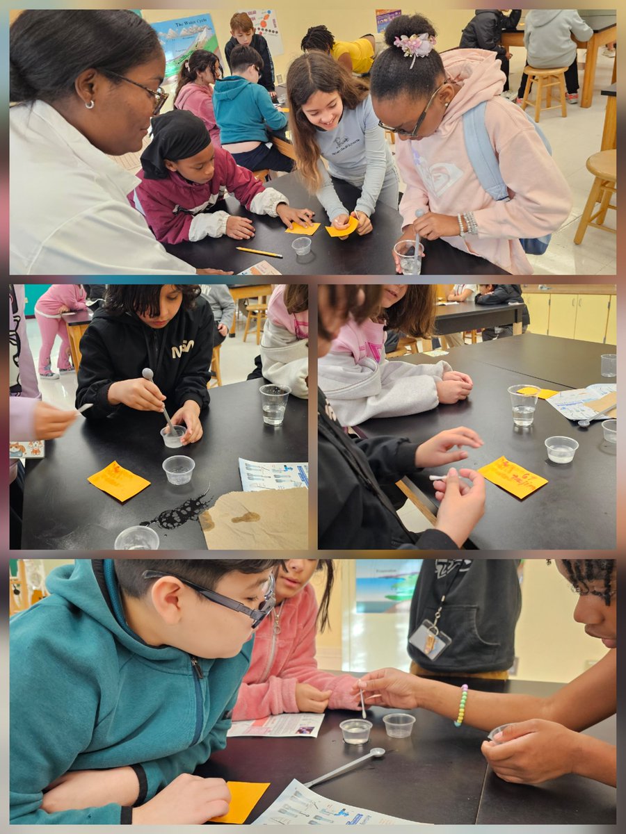 Boca Raton Elem. tweet media