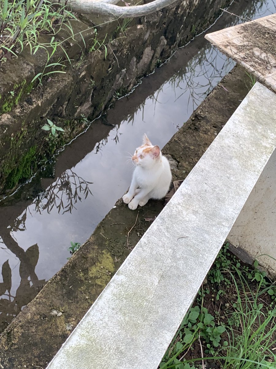 Kenapa bocil itu diam dipinggir got