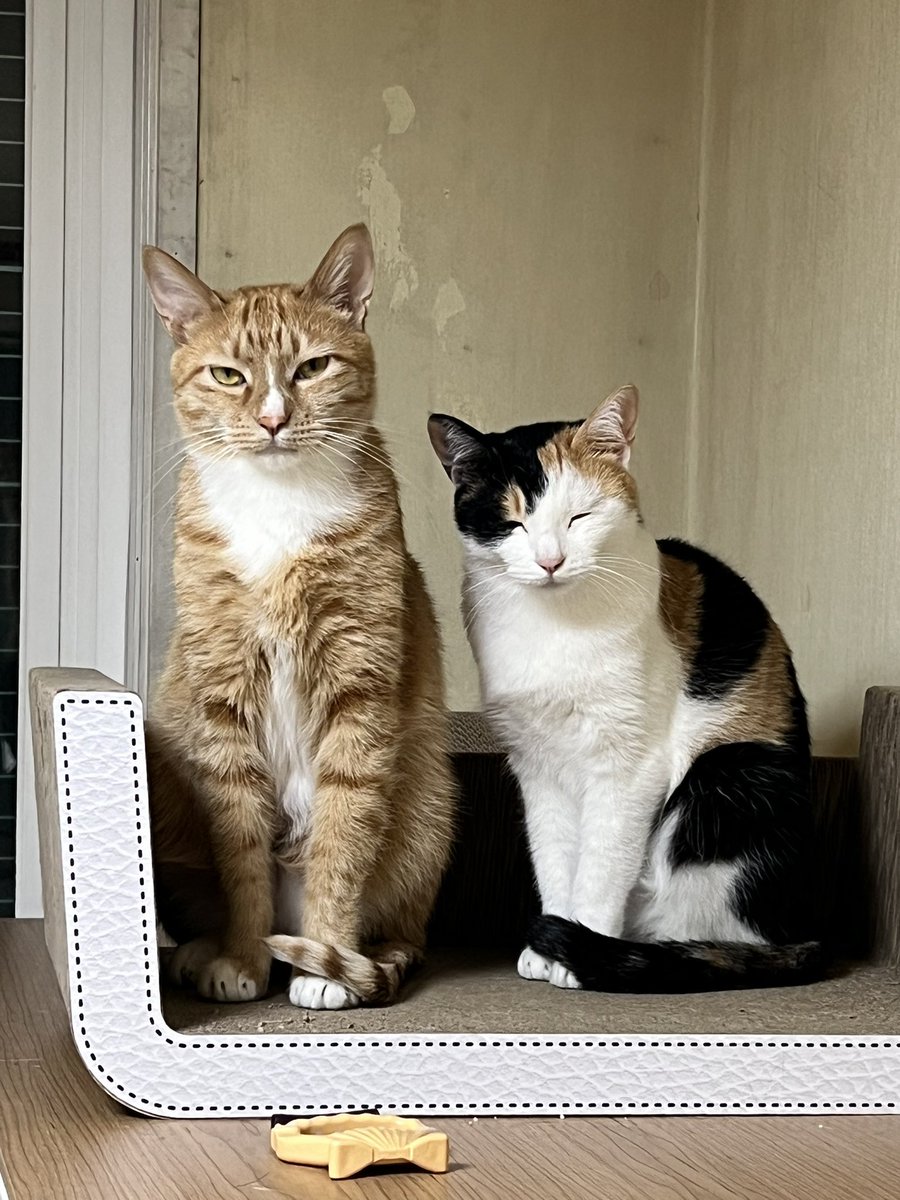 우리집 청일점과 다른 가족들 간의 체구 차이