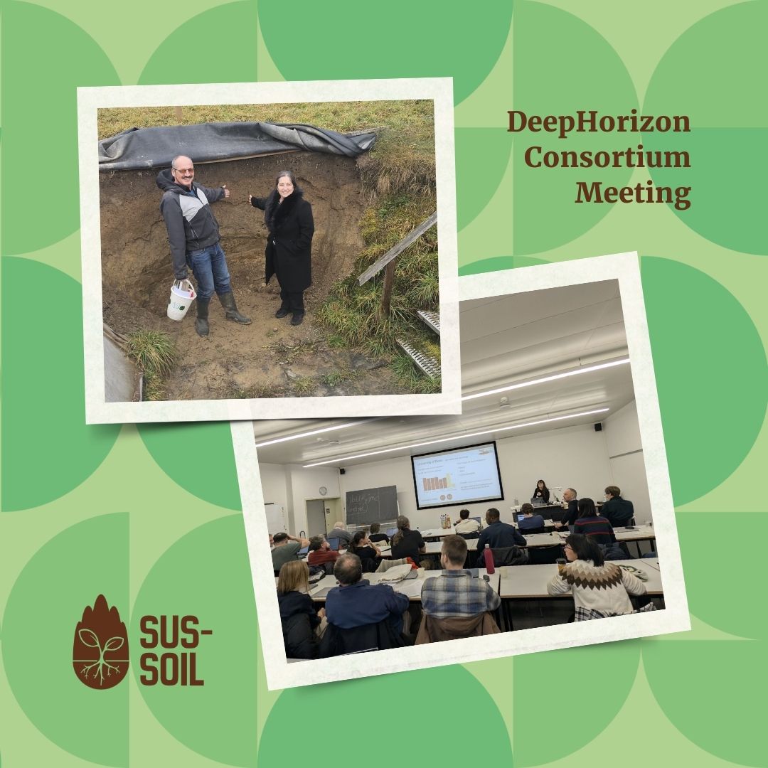 SUS-SOIL tweet media