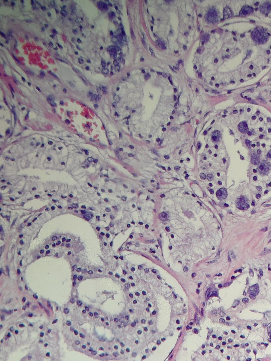 Perspectivapatológica tweet media