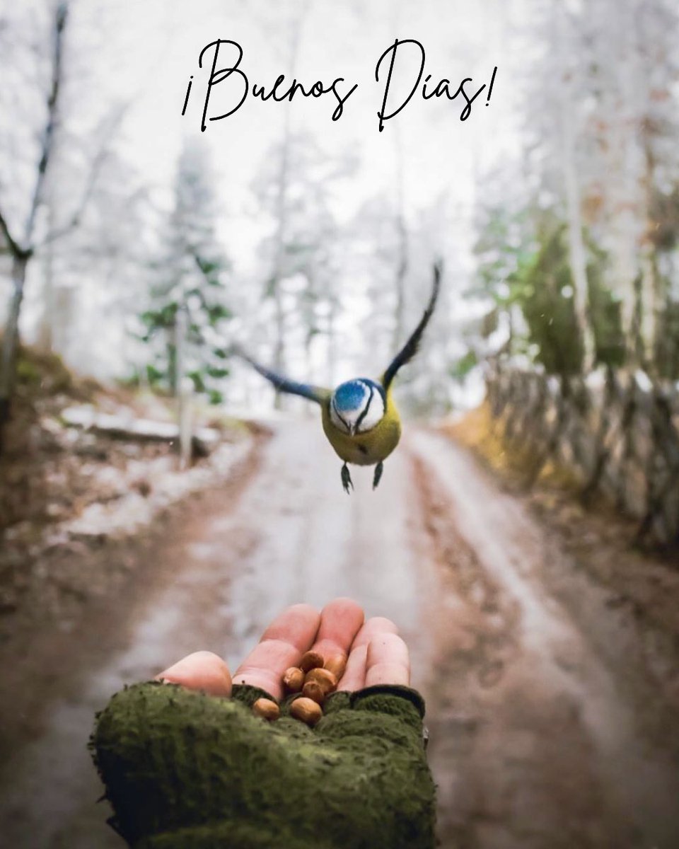 El respeto por la vida es fundamento de cualquier moralidad y de toda religión.
Albert Schweitzer.
🙂‍↕️