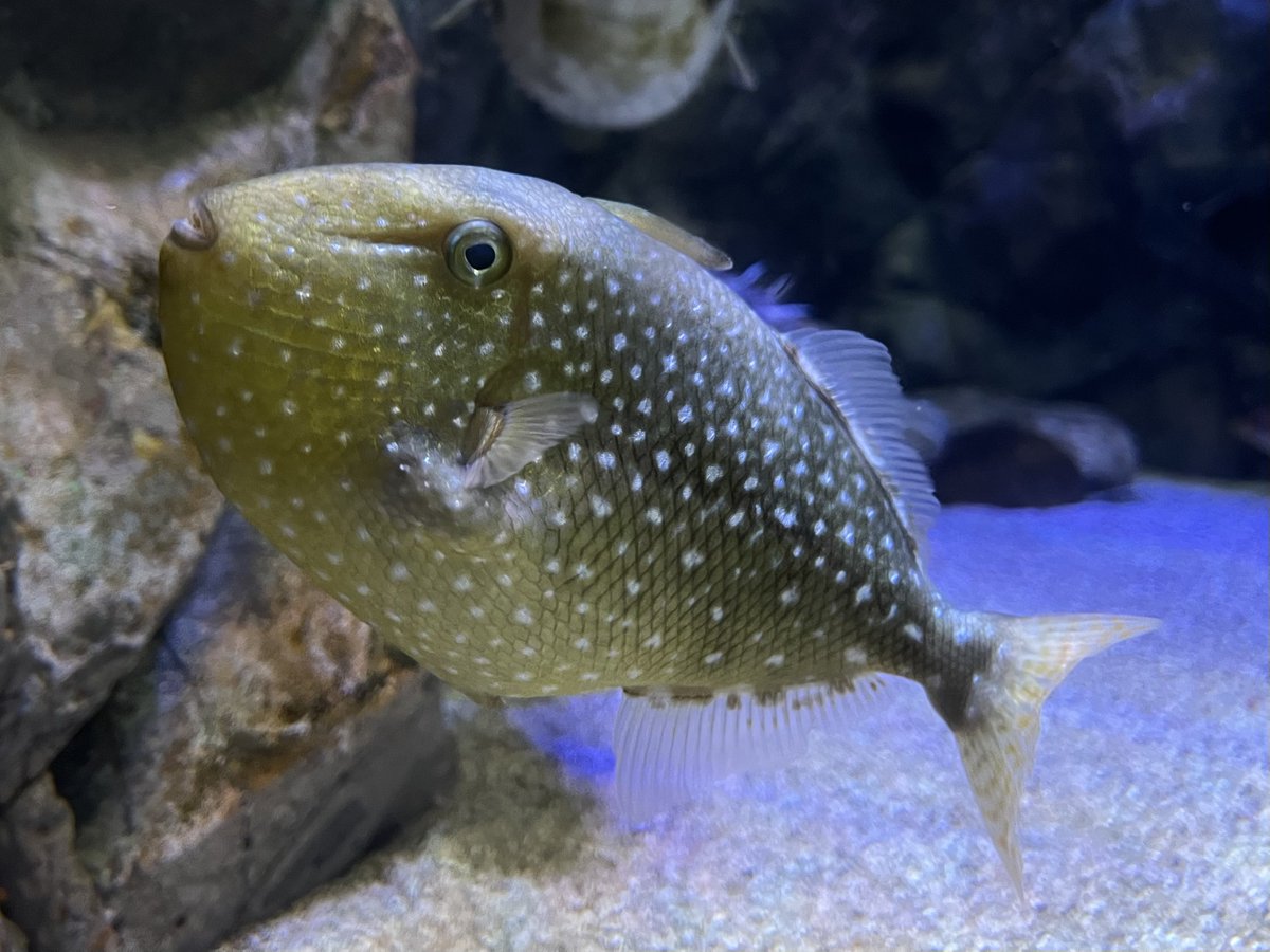 動脈。'26💜🍬🗼 (@scienceheart0) / Posts / X