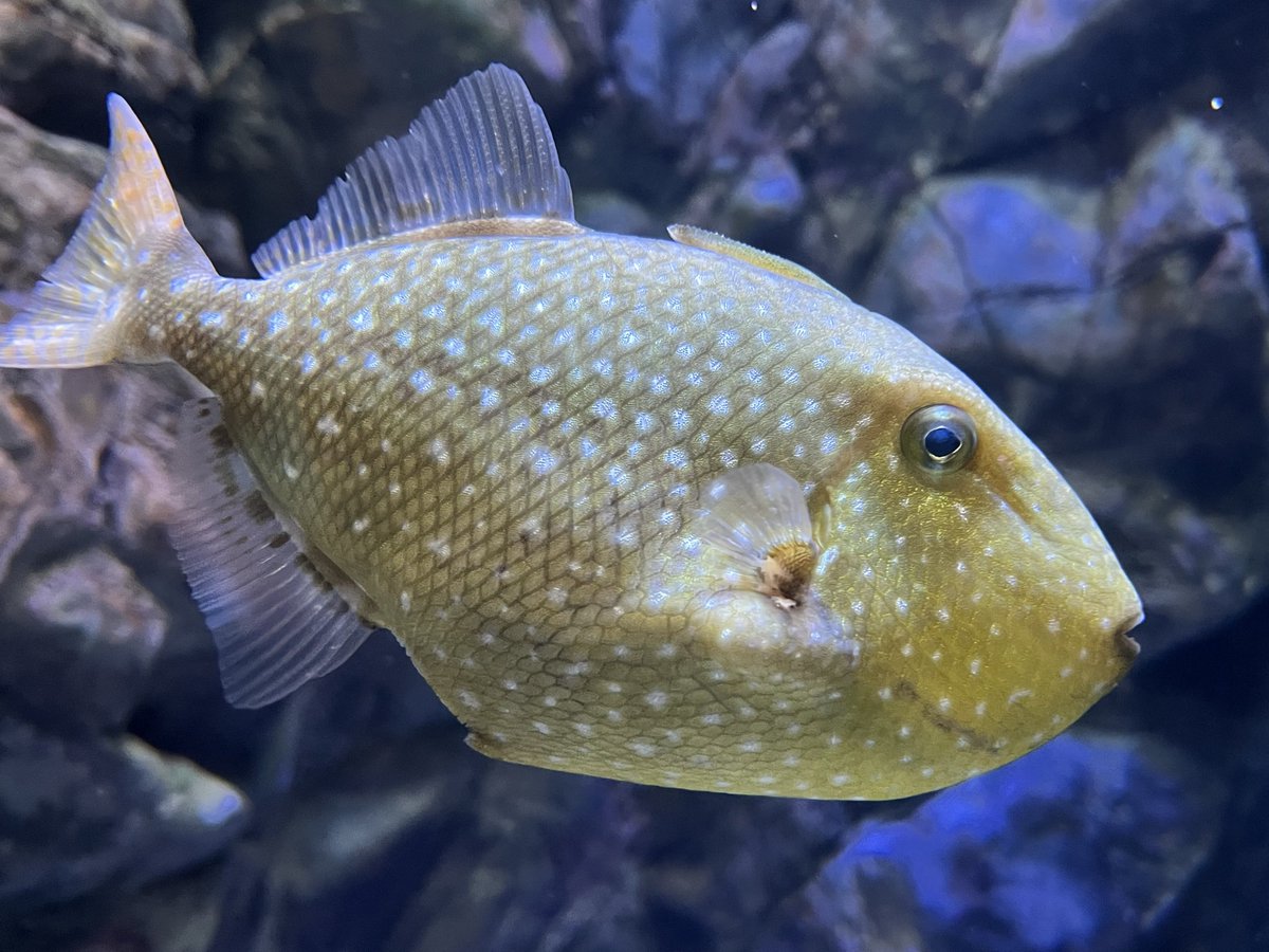 動脈。'26💜🍬🗼 (@scienceheart0) / Posts / X