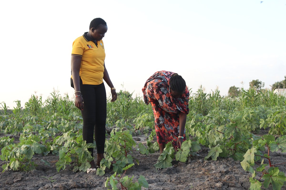 Hope Restoration South Sudan tweet media