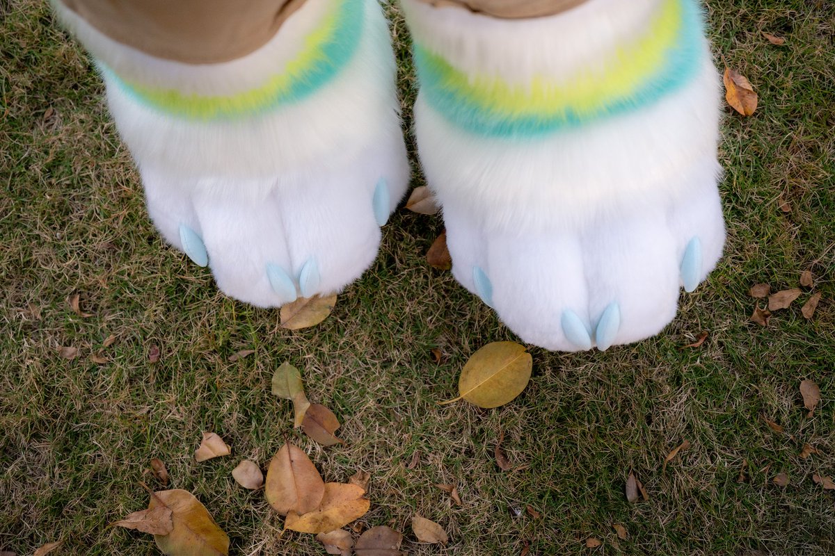 毛五！请吃落叶拌舞狮
🦁：我家的雷
📸：牛奶
#furry #兽装 #fursuit #FursuitFriday