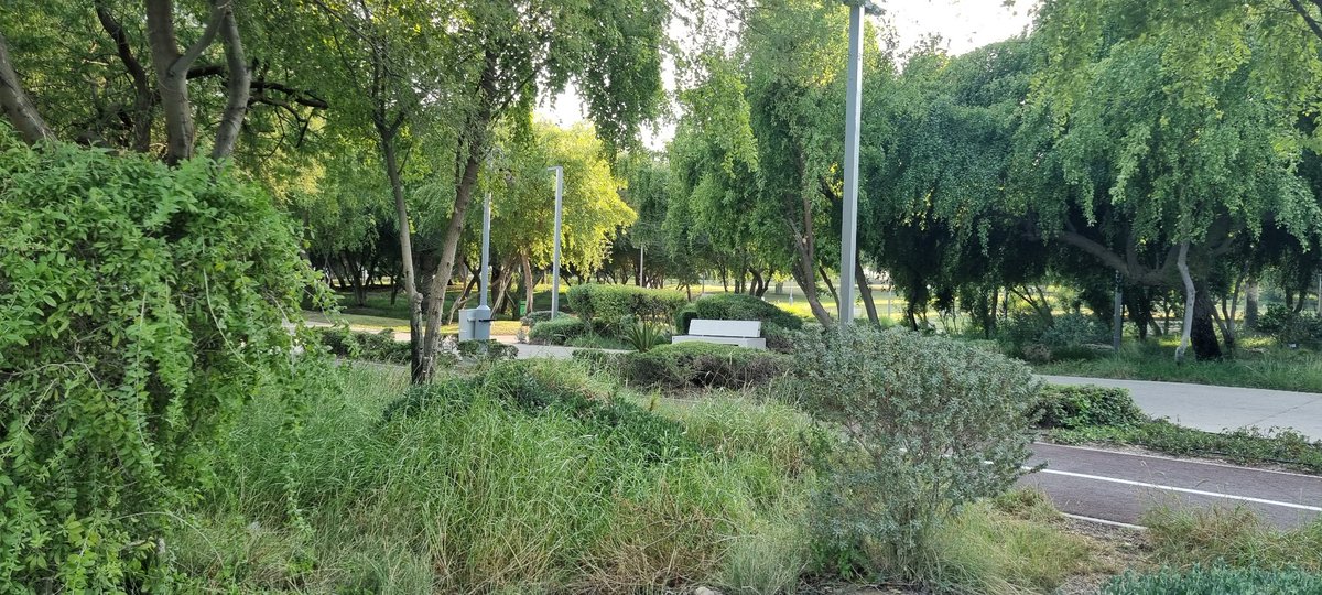 Raza Ali Dada tweet media