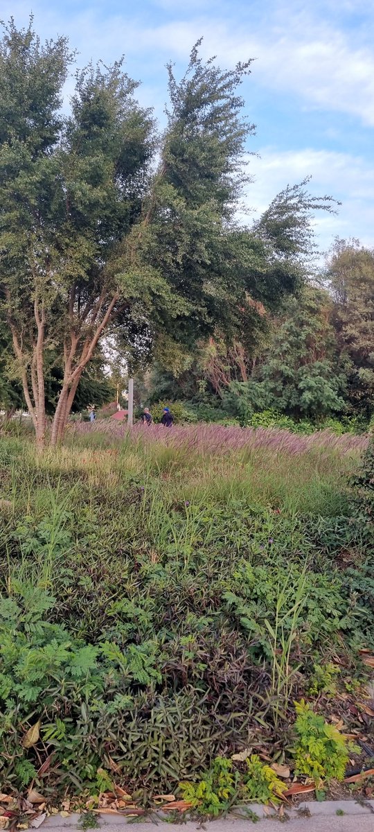 Raza Ali Dada tweet media