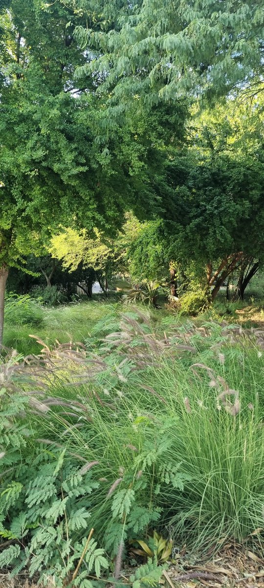 Raza Ali Dada tweet media