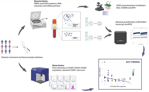 STEM CELLS Translational Medicine tweet media