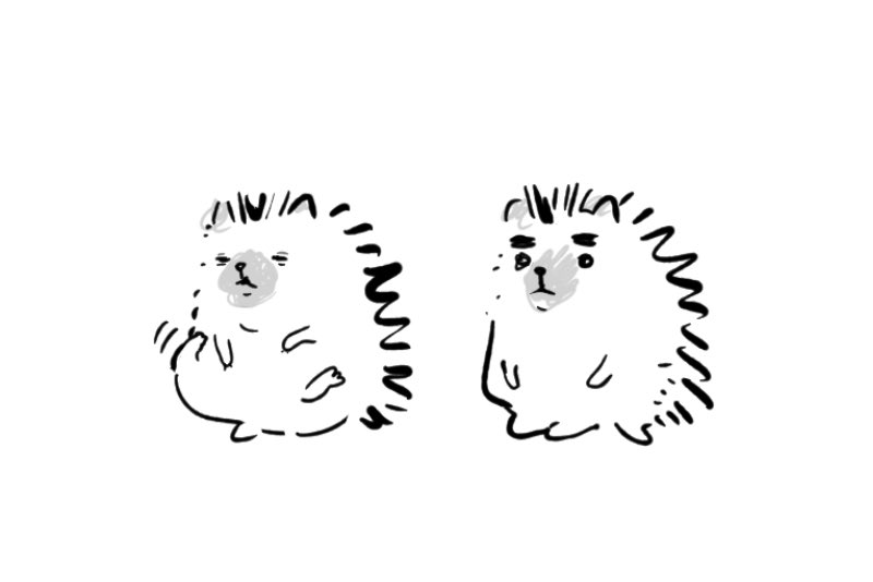 움칫도칫 (@dochiseuki) on Twitter photo 