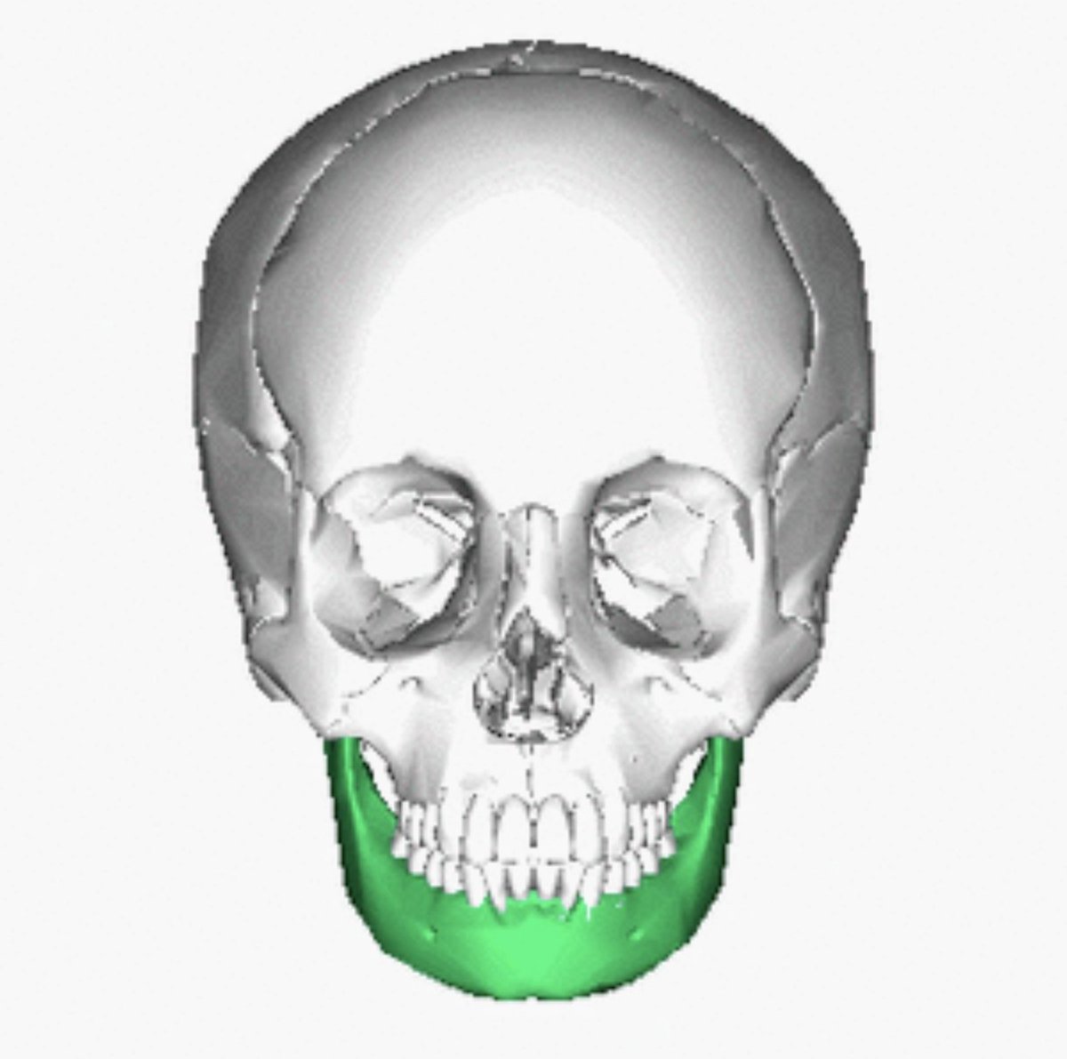 Bruce | True Health Coach tweet media