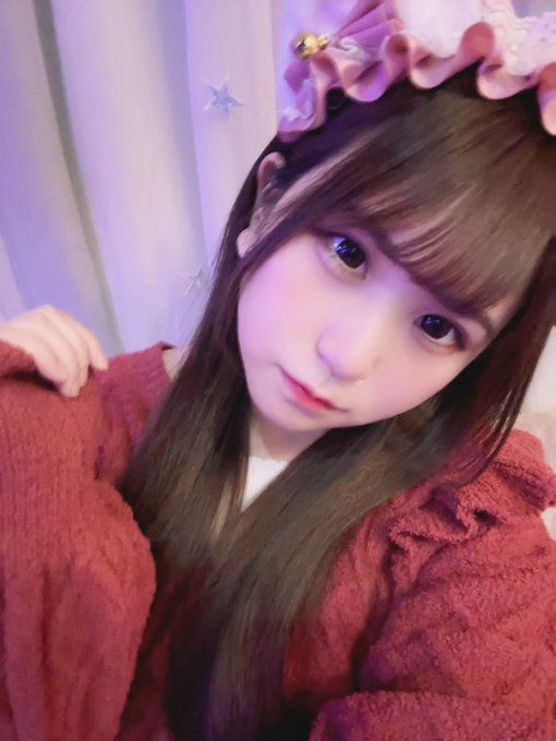 キミとねこのツイート