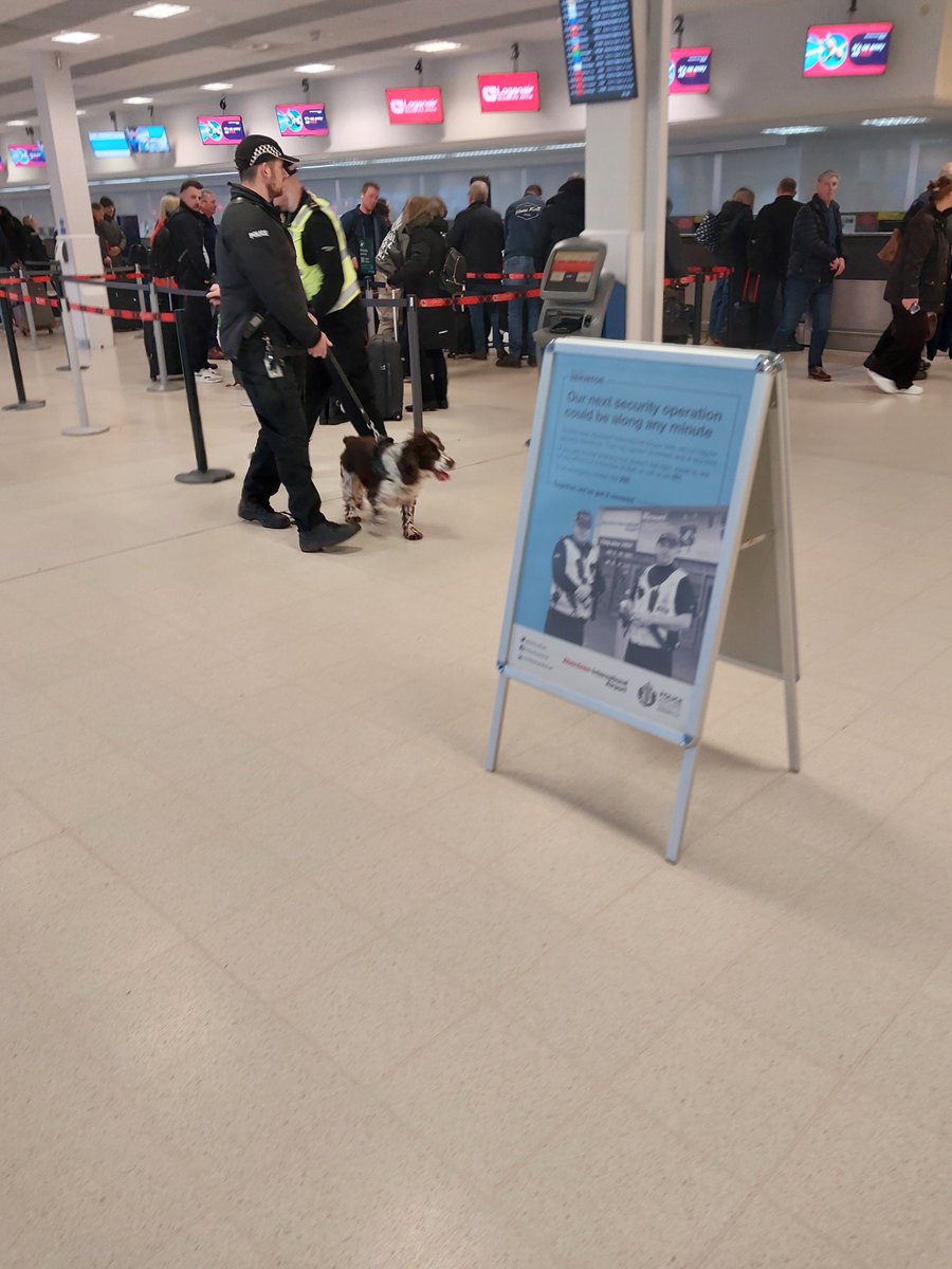 Police Scotland Border Policing tweet media