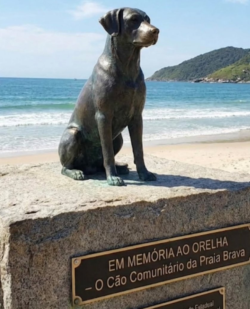 SidnelsonEu's tweet image. Acho que seria MUITO justo se essa homenagem acontecesse.