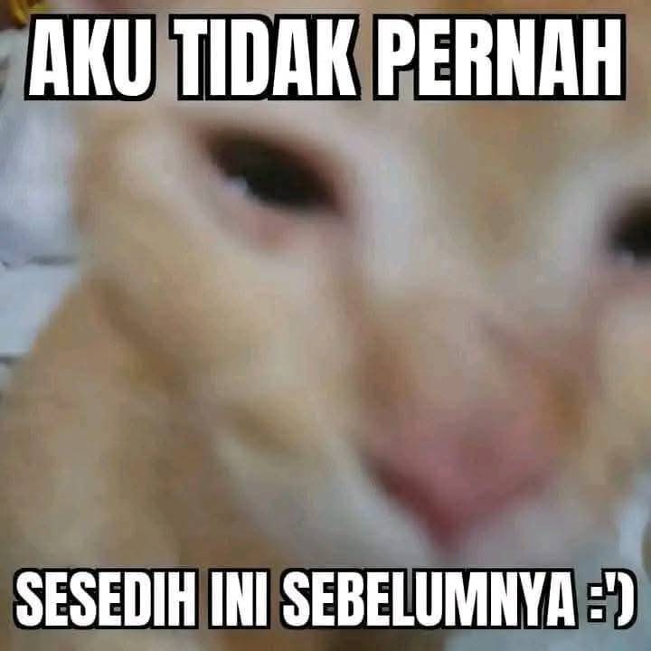 mxonwalkin's tweet image. ak mngalami kesedihan mndaLam 💔🥀 #broken #gpp