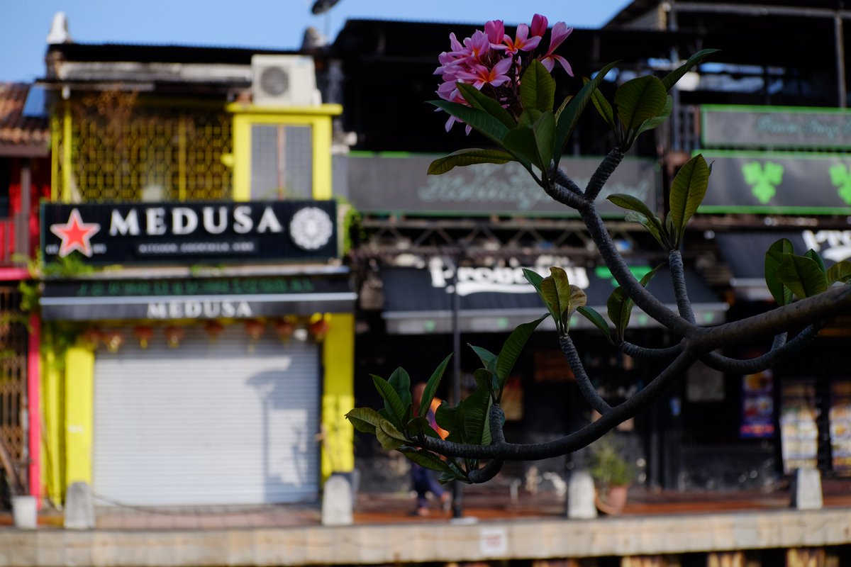 HabuChan6's tweet photo. マレーシア マラッカ
FUJIFILM X-T1
7Artisans 35mm f1.4
#Fujifilm #XT1 https://t.co/dA4tDlnOXj