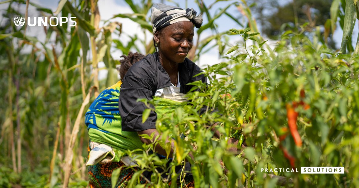 UNOPS West Africa tweet media